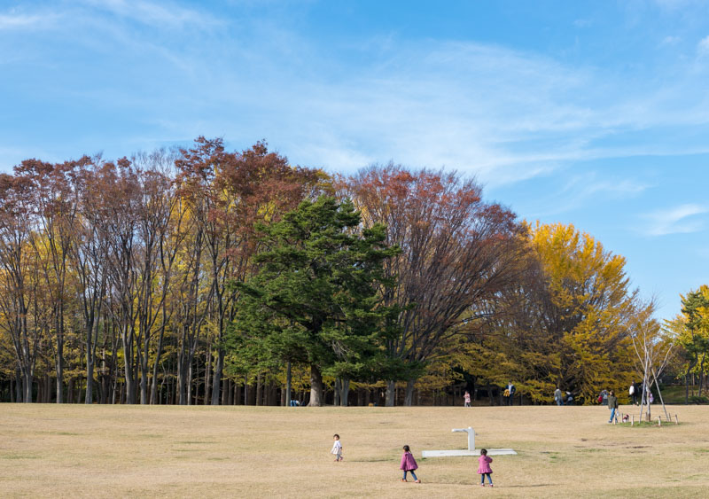 秋と紅葉の根岸森林公園の写真