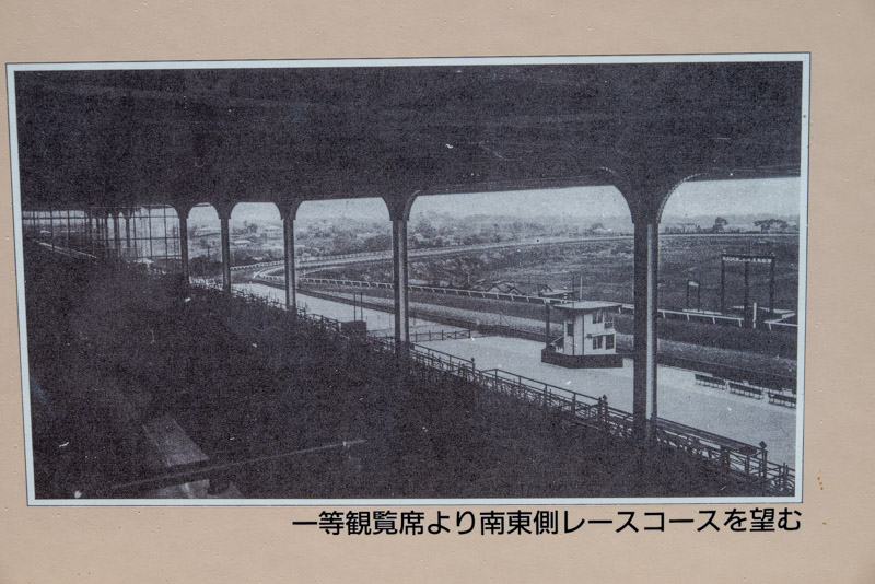 当時観覧席から見えた競馬場の写真