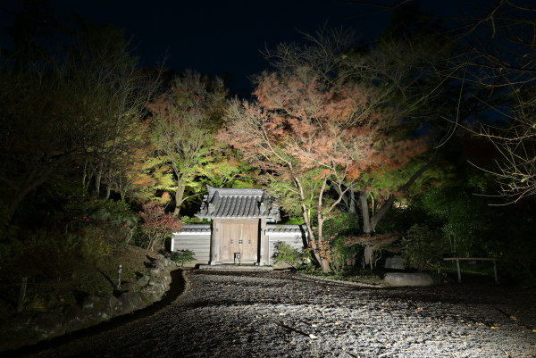 ライトアップされた三溪園の紅葉と建物