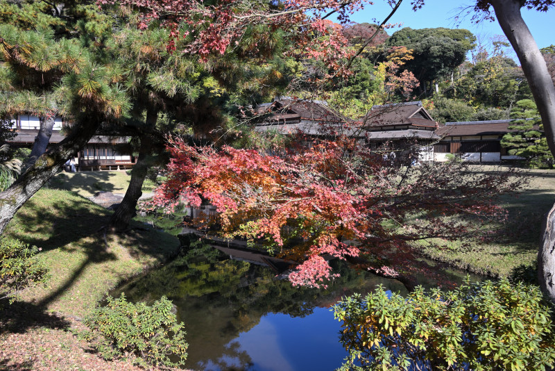臨春閣の池にうっすら建物と紅葉が写りこんでいる