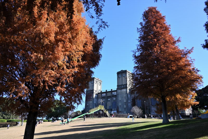 両サイド紅葉に囲まれ、真ん中に旧根岸競馬場一等馬見所