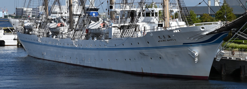 水色2本線のラインの海洋丸