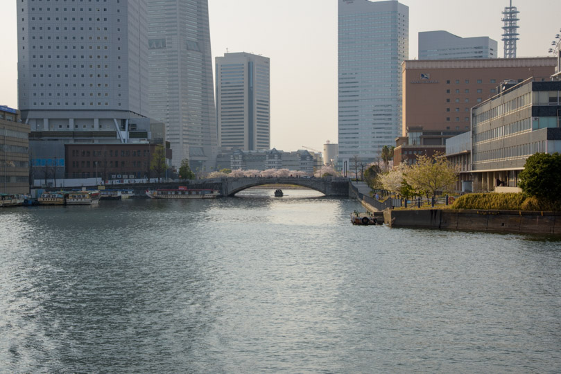 川と万国橋、桜と遊覧船