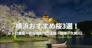 横浜おすすめ桜3選！｜レトロ建築×夜桜撮影【三溪園・根岸・大岡川】