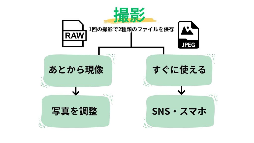 RAW＋JPEG同時保存のメリット図解